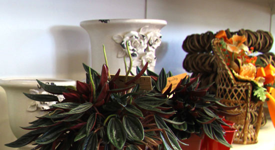 idee-regalo
